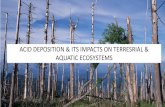ACID DEPOSITION & ITS IMPACTS ON TERRESRIAL & AQUATIC …udel.edu/~inamdar/nps2007/2017AD.pdf · 2017-02-08 · Deposition trends – • Wet sulfate deposition has decreased since