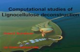 BETO Webinar: Computational Studies of Lignocellulose … · 2013-06-26 · Part of the few microorganisms capable of a complete lignin degradation : lignin CO2 + H2O. Fungal Cell