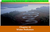 Chapter 14 Water Pollution - Mrs. Moran · Eutrophication ⬜Byproduct of Decomposition are Nitrogen & Phosphorus, elements that limit the abundance of producers in aquatic ecosystems.
