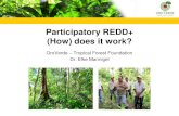 Participatory REDD+ (How) does it work? · OroVerde – Tropical Forest Foundation ... Forest conservation in international projects Cooperation with local partner organizations Promotion