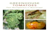 Greenhouse Tomatoes: Pest Management in Mississippi...4 GREENHOUSE TOMATOES Pest Management in Mississippi Because many insects and mites are so small, a 10–20x hand lens is an important