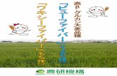 表紙：栃木県足利市「ビューファイバー」圃場 · PDF file 日本では、機能性表示食品制度（2015年）に基づき、β-グルカンの機能性を記載した大麦食品