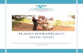 PLANO ESTRATÉGICO 2016-2020 - NANA · OCB Organização Comunitária de Base ONG Organização Não Governamental IDH Índice de Desenvolvimento Humano IIAM Instituto de Investigação