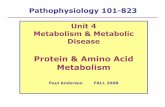 Metabolism - libvolume1.xyzlibvolume1.xyz/.../proteinmetabolismnotes2.pdf · INCOMPLETE PROTEIN, COMPLETE PROTEIN ESSENTIAL AMINO ACID: NON-ESSENTIAL AMINO ACID 3. Define the AMINO
