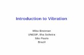 Mike Brennan UNESP, Ilha Solteira São Paulo Brazil · UNESP, Ilha Solteira São Paulo Brazil. Vibration • Most vibrations are undesirable, but there are many instances where vibrations