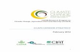 CCAFS GENDER STRATEGY% - ccafs.cgiar.org · CGIAR Research Program on Climate Change, Agriculture and Food Security (CCAFS). Copenhagen, Denmark. Available online at: . ... Monitoring,