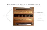 Anatomy of a harmonica · Anatomy of a harmonica Cover Plates Comb Reed Blow Reed Plate Draw Reed Plate Reed Rivet Reed Chamber. Materials and Sound Reeds and reed plates are most