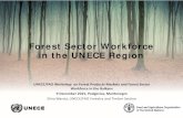 Forest Sector Workforce in the UNECE Region · Forest Sector Workforce in the UNECE Region UNECE/FAO Workshop on Forest Products Markets and Forest Sector Workforce in the Balkans