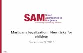 Marijuana Legalization: New Risks for Children©7 Legalization has birthed a marijuana industry, fueled by private equity and Wall Street $26 million round of funding closed July 2015