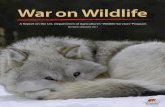 War on Wildlifepdf.wildearthguardians.org/site/DocServer/WoW_report17...Killed: 284 cougars, 384 gray wolves, 480 black bears, 731 bobcats, 1,511 gray foxes, 1,534 red foxes, 69,905