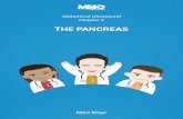 THE PANCREAS · he Pancreas DIFFERENTIATING CYSTIC TUMORS OF THE PANCREAS Serous cystadenoma Serous cystadenoma of the pancreas (or microcystic adenoma) is an uncommon type of benign