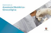 Diplomado en Anestesia Obstétrico- Ginecológica...Anestesia obstétrica 2.1.stesia para la cesárea. Ane 2.2. Vía aérea difícil en la embarazada. 2.3. Monitorización hemodinámica