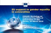 EU support to gender equality in universities · 3/29/2019  · partner universities and research organisations (RPOs & RFOs) Increasing importance given to: • Analysing the situation