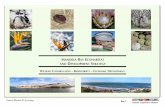 MANDELA BAY COHABITAT AND DEVELOPMENT STRATEGYfiles.sitebuilder.name.tools/98/63/9863ae4d-0ebf-43d5... · 2017-12-01 · tank and a stingray touch tank • conservation projects include