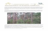 beheerfiche duurzaam beheer van naaldbossenuuid:6d9ebc0d-dd70-4… · Duurzaam beheer van Kempense naaldbossen In Vlaanderen beslaan homogene grove en Corsicaanse dennenbestanden
