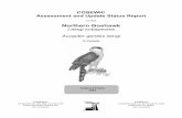 Northern Goshawk (Accipiter gentilis laingi) · PDF file 2005-09-30 · Goshawk are likely restricted to Vancouver Island, the Queen Charlotte Islands, and other large coastal islands.