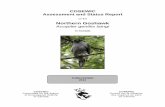 Northern Goshawk,Accipiter gentilis laingi · PDF file on the Northern Goshawk Laingi subspecies Accipiter gentilis laingi in Canada. Committee on the Status of Endangered Wildlife