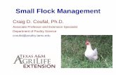 Small Flock Management · (wild birds and animals, rodents, pets, etc.) • Traffic control –limit access to flock to reduce exposure risk (people and vehicles) • Sanitation –disinfect