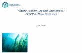 Future Protein-Ligand Challenges: CELPP & New Datasets · 2. Automated link between our webservices and an external automated docking websites 3. Downloading our weekly posts & uploading