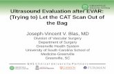 Ultrasound Evaluation after EVAR: (Trying to) Let the CAT ... · 2. Satisfactory color Doppler scan imaging without excessive overgain or undergain 3. A color Doppler scan assessment