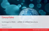 Invitrogen’s RNAi - siRNA & miRNA Solutionscgs.hku.hk/portal/files/GRC/Events/Seminars/2016... · miRNA mimic 1 miRNA mimic 2 miRNA mimic 3 miRNA mimic 4 miRNA mimic 5 miRNA mimic