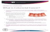COLORECTAL CANCER (CRC) What is Colorectal Cancer? · Colorectal cancer (also known as colon cancer) is cancer of the colon and/or rectum and occurs when a growth in the lining of