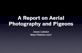 A Report on Aerial Photography and Pigeonslatteier.com/pigeoncam/pigeoncam.pdfOrigins of Aerial Photography • 1839 – Photography invented • 1851 – Wet plate process allows