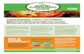 MONTHLY GARDENING GUIDE EDITION · GARDENING GUIDE GARDENING TIPS: OCTOBER APPLY TOP MULCH to hold precious moisture in your soil during the heat and to feed your soil organisms.