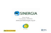 Pierre Girard Coordenador, SINERGIA  · SINERGIA Dinâmica Fase de mobilização (Fev. – Maio 2009) (Argentina, Bolívia, Brasil, Paraguai) Primeiro Dialogo – definição de 4