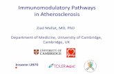 Immunomodulatory Pathways in Atherosclerosis 2017-07-12¢  Immunomodulatory Pathways. in Atherosclerosis