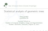 Statistical analysis of geometric Classical example: reeT edit distance Classical example: reeT edit
