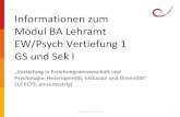 Informationen zum Modul BA Lehramt EW/Psych …...2020/04/17  · Informationen zum Modul BA Lehramt EW/Psych Vertiefung 1 GS und Sek I „Vertiefung in Erziehungswissenschaft und
