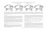 Rotational Symmetry Field Design on Surfacessites.fas.harvard.edu/~cs277/papers/symmetry.pdf · 2008-01-30 · sis for rotational symmetry ﬁelds on surfaces and present efﬁcient