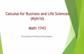 Calculus for Business and Life Sciences (Hybrid) Math 1743 · Calculus for Business and Life Sciences (Hybrid) Math 1743 Why was this course created and how I ended up teaching it