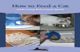 How to Fe ed a C at · What we feed our cats is very important, but so is how we feed them. How we feed our cats can affect them physically and emotionally. All cats are carnivores