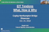 Coplay-Northampton Bridge Showcase - Lehigh Universitycjn3/EIT/2-EITWorkshop-FHWA.pdf · 2018-11-12 · Showcase Oct. 24, 2018 Reggie Holt Federal Highway Administration. FHWA OFFICE
