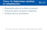 Tema 14: Determinar cambios en teledetección · Emilio Chuvieco / Javier Salas – Departamento de Geología, Geografía y Medio Ambiente Tema 14: Determinar cambios en teledetección