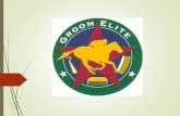 Click to edit Master title style - National HBPAGroom Elite 101/201 –Gulfstream Park Basic Grooming 099/101 –Prairie Meadows Groom Elite 201 –Canterbury Park Groom Elite 101