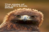The state of the UK’s birds 2016 - WWT Conservation...2 The state of the UK’s birds 2016 The state of the UK’s birds 2016 3 Contents Throughout this report species names are