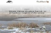 'River Otter (Lutra lutra) in Kharkov region (Ukraine)’ Detailed Final Report_0.pdf · The project 'River Otter (Lutra lutra) in Kharkov region (Ukraine)' was a pilot phase of more