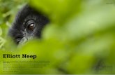 Elliott Neep · Elliott Neep will be leading wildlife photography tours to the Mara-Serengeti, Antarctica and Svalbard. Like the varied terrain he now covers, the road from redundancy