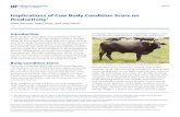 Implications of Cow Body Condition Score on …edis.ifas.ufl.edu/pdffiles/AN/AN31900.pdfImplications of Cow Body Condition Score on Productivity 2 BCS necessitates 75 lbs of body weight