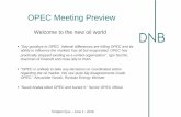 OPEC Meeting Previe€¦ · Global supply/demand balance Countries that are struggling with production Countries that are growing production Global oil demand vs global oil demand