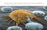 Cancer and the Immune System · An overview of recent publications featuring Illumina technology11 ANTIBODY REPERTOIRE Antibody repertoire sequencing is transforming our understanding