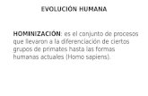 Presentación de PowerPoint - Antropología CBC · gibones orangutanes gorilas chimpancÉs. antropoides – homÍnidos 2 gÉneros australopithecus homo. bipedismo. encefalizaciÓn.