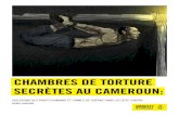 CHAMBRES DE TORTURE SECRÈTES AU CAMEROUN · PDF file 6.2 autres caractÉristiques de la torture 31 6.2.1 moment, frÉquence et durÉe des actes de torture 31 6.2.2 actes de torture