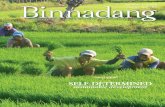 BinnadangSTAFF€¦ · etables like squash, pallang, sayote, kalunay and malunggay are usually planted in backyard gardens. The residents utilize every available space for food production,