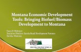 Montana Economic Development Tools: Bringing Biofuel ... ... Big Sky Economic Development Trust Fund (planning and construction) Community Development Block Grant (planning and construction)