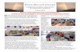 A Quarterly Journal for, about and by Pine Brook Hills ... Issues... · welcome to donate their own arts or to consign a selection to be sold on their behalf at the sale. Please contact