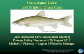 Oscawana Lake - Putnam Valley, New York DEC presentation aug...NYS Department of Environmental Conservation Fish, Wildlife & Marine Resources Grass carp Natural Range: • Native to